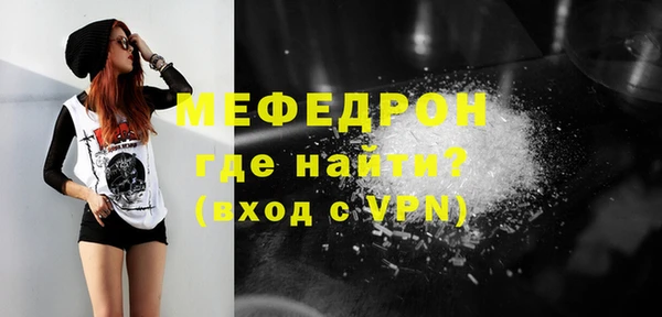 индика Инта