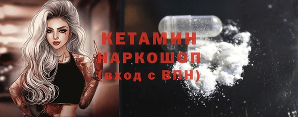индика Инта