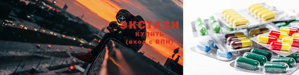 индика Инта
