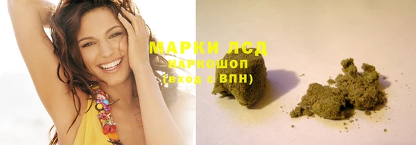 индика Инта