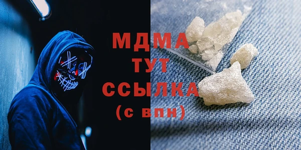 индика Инта