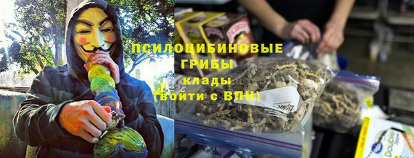 PSILOCYBIN Балабаново