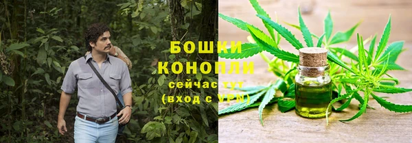 индика Инта