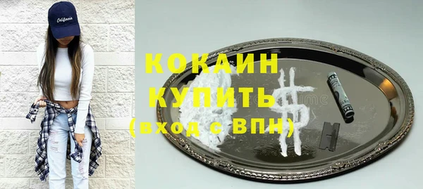 индика Инта