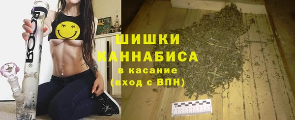 индика Инта