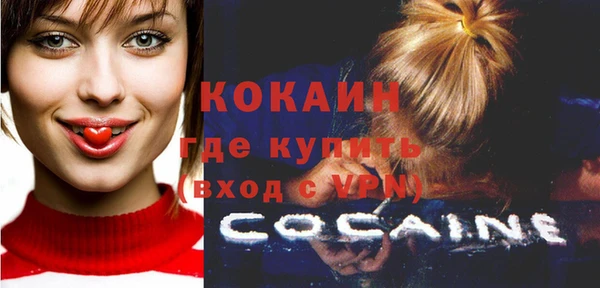 индика Инта