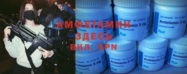 индика Инта