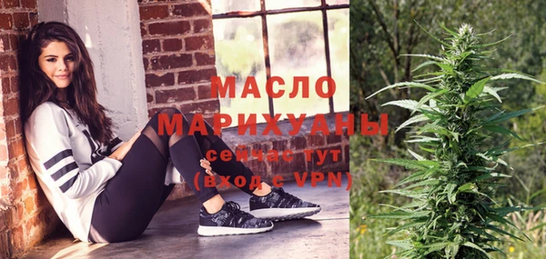 индика Инта