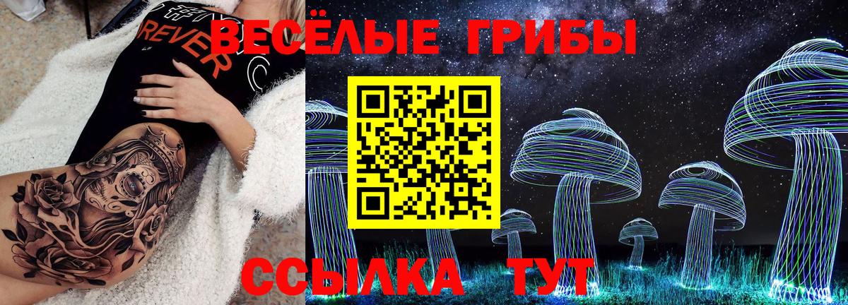 Псилоцибиновые грибы Magic Shrooms Златоуст