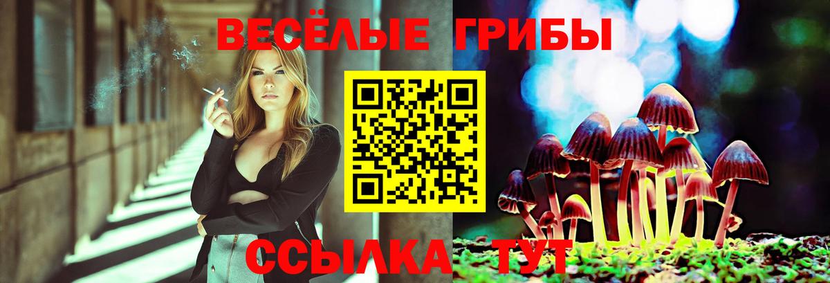 Псилоцибиновые грибы Magic Shrooms Златоуст